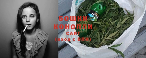 молекула духа Михайловка