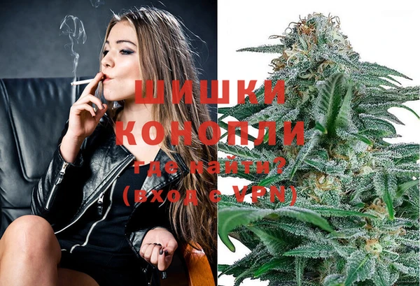 ПСИЛОЦИБИНОВЫЕ ГРИБЫ Михайлов