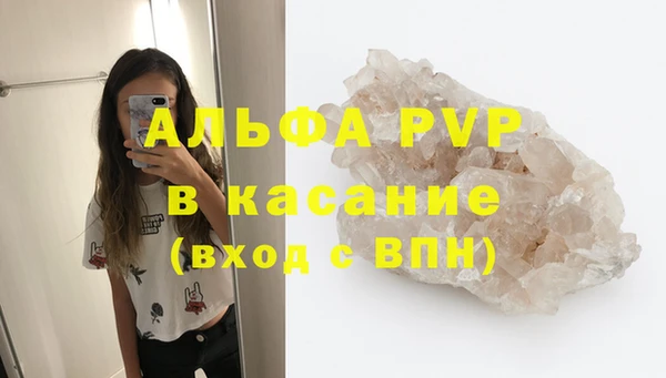 ПСИЛОЦИБИНОВЫЕ ГРИБЫ Михайлов