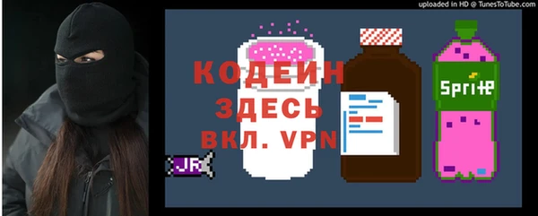 ПСИЛОЦИБИНОВЫЕ ГРИБЫ Михайлов