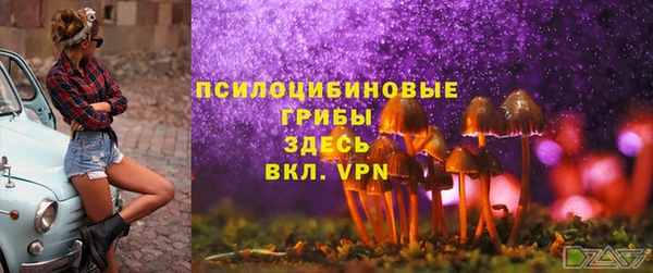 ГАЛЛЮЦИНОГЕННЫЕ ГРИБЫ Михайловск