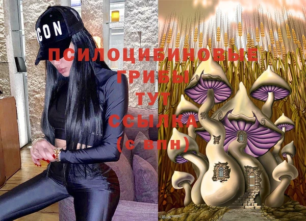 ПСИЛОЦИБИНОВЫЕ ГРИБЫ Михайлов