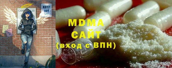 ПСИЛОЦИБИНОВЫЕ ГРИБЫ Михайлов