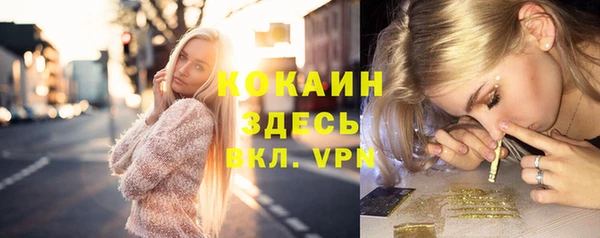 ПСИЛОЦИБИНОВЫЕ ГРИБЫ Михайлов