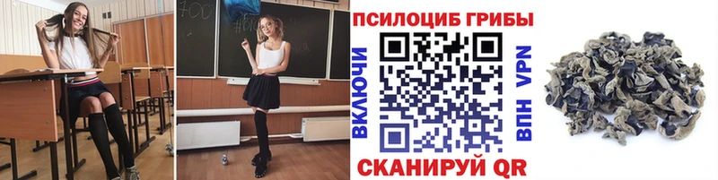 даркнет официальный сайт  магазин продажи наркотиков  Звенигово  Галлюциногенные грибы MAGIC MUSHROOMS 